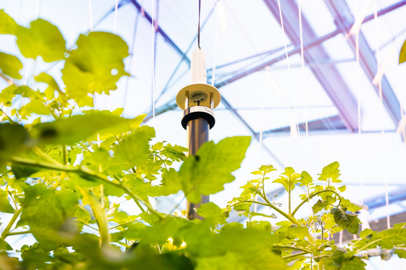 Centro mundial de horticultura Priva