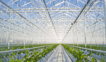 Greenhouse innovation