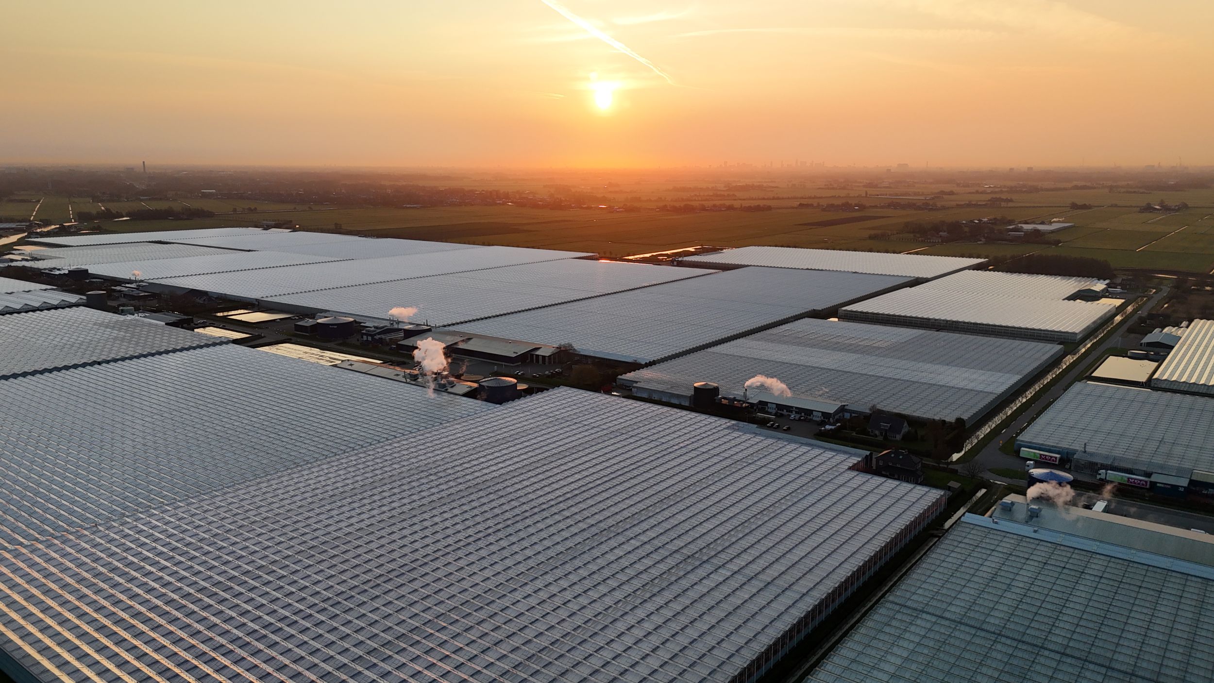 Large greenhouse area at sunset showcasing modern horticultural production