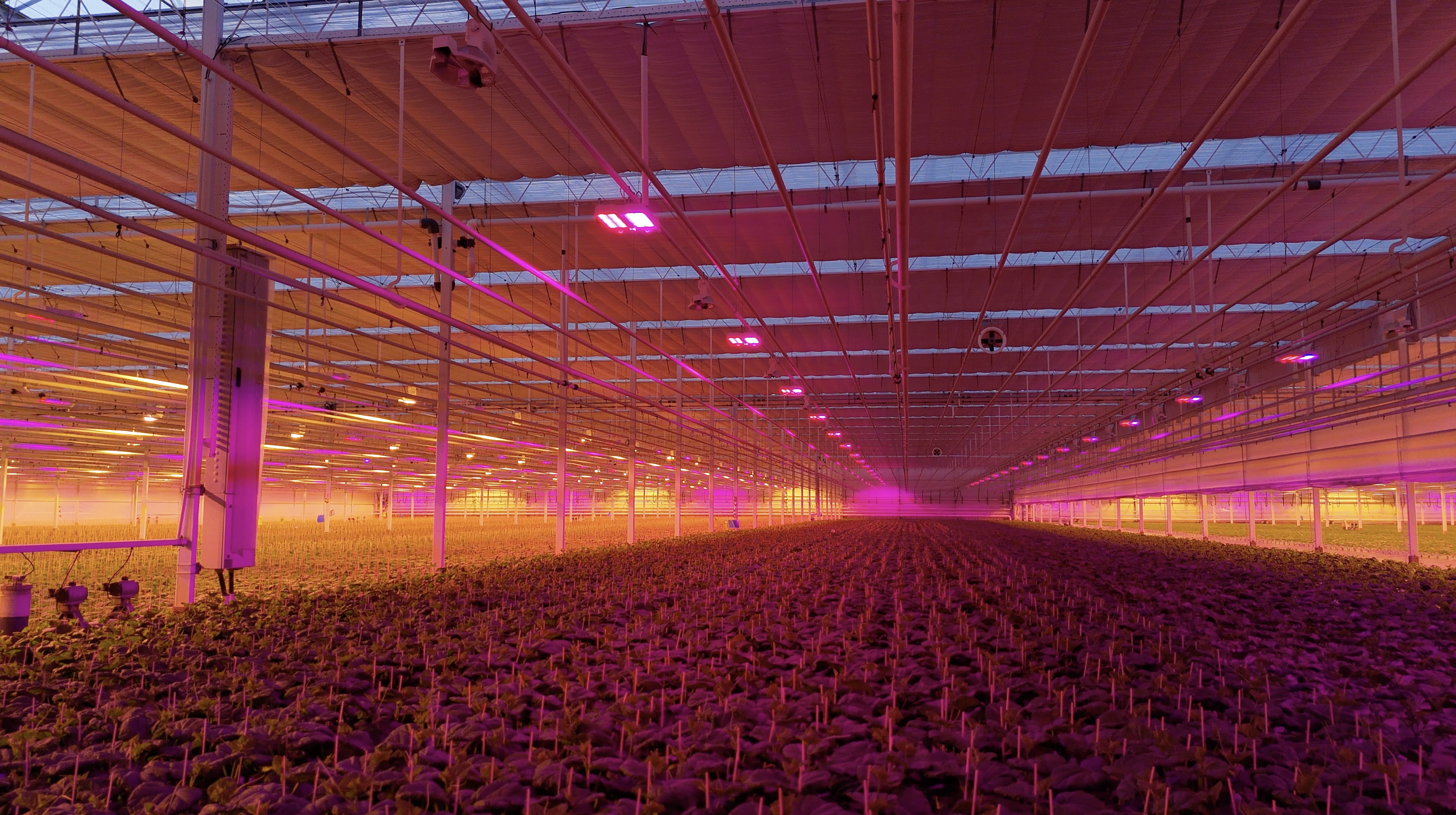 Led Connext 02