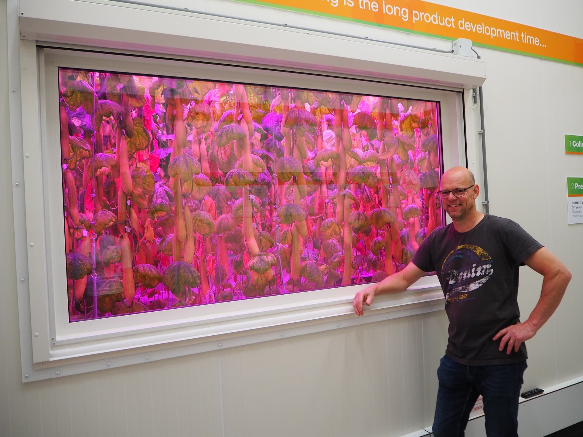 Basf vegetables seeds greenex