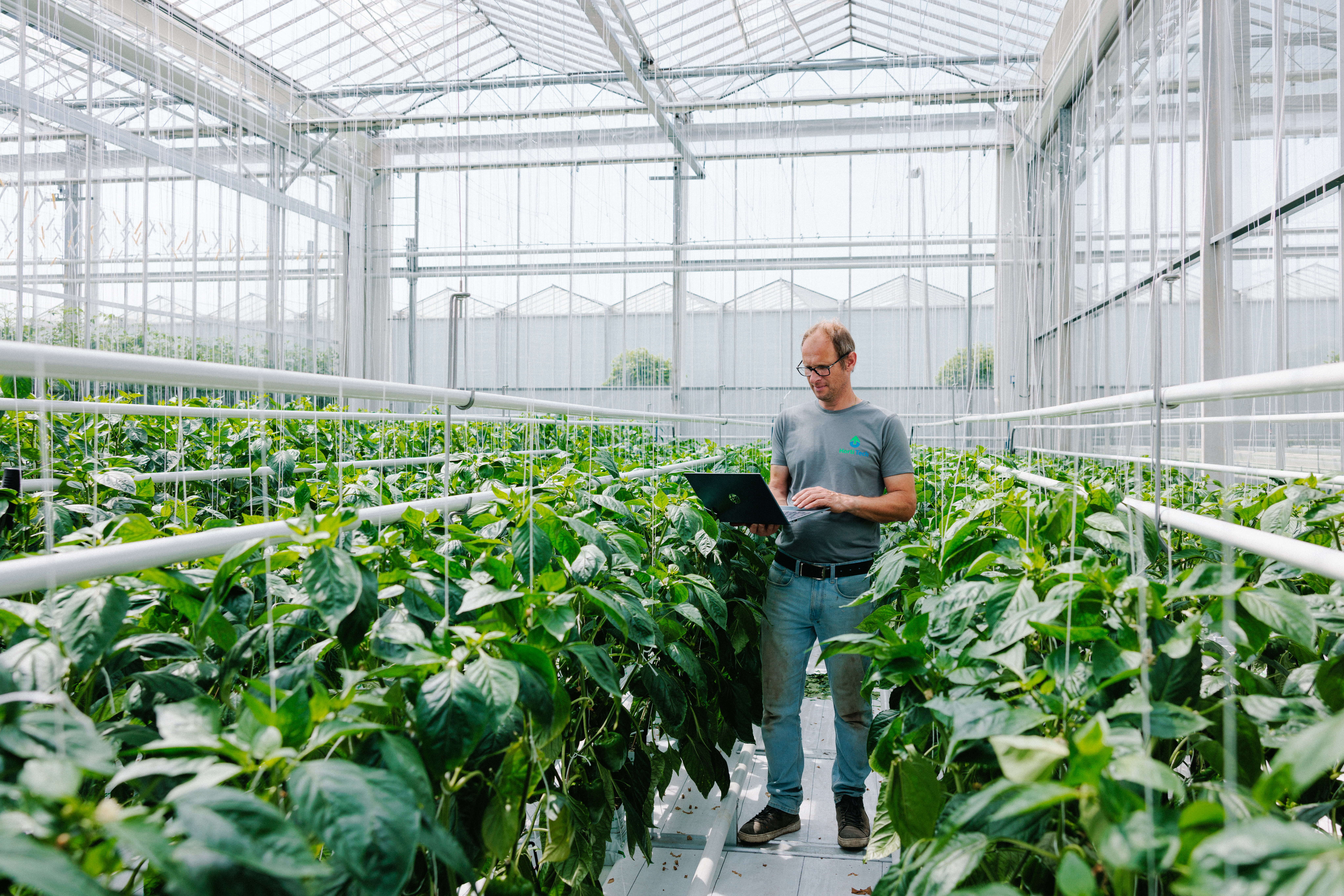 PRIVA Westland Tom Van Huisstede 0308