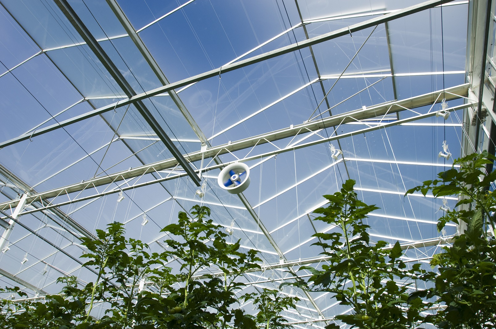 Ventilateur en serre