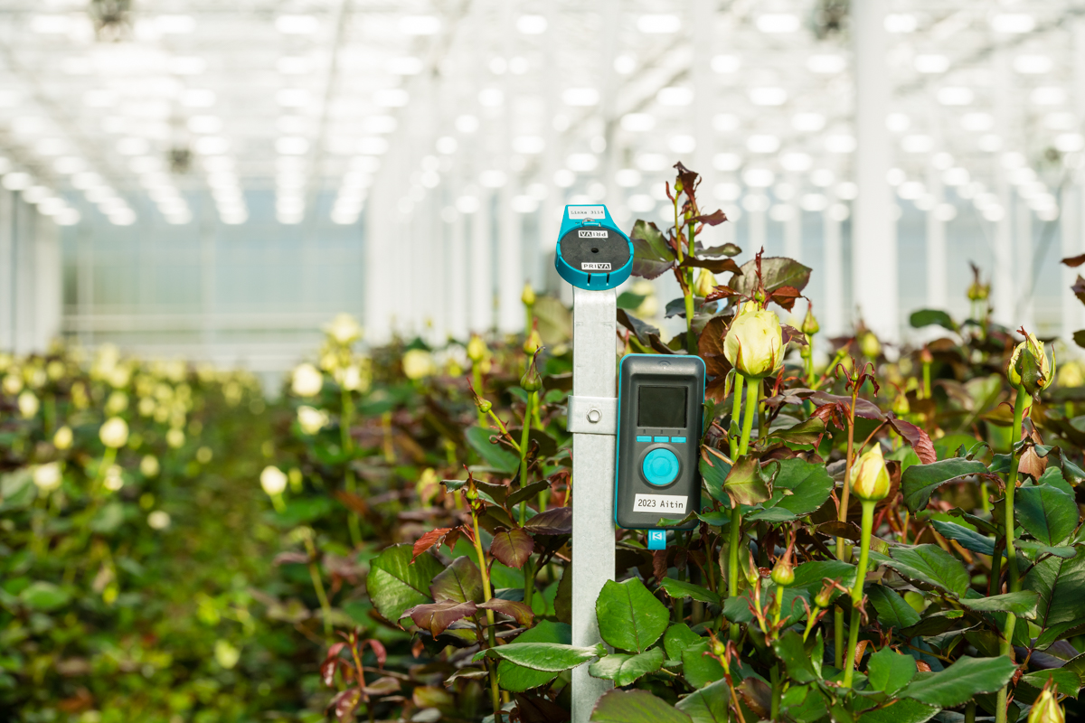 FS Reader + FS Performance SK Roses Noord Lierweg LR (2)