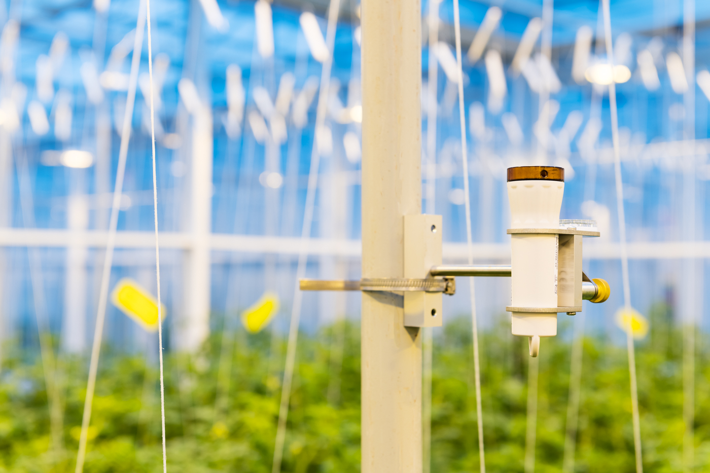 Priva World Horti Center 1