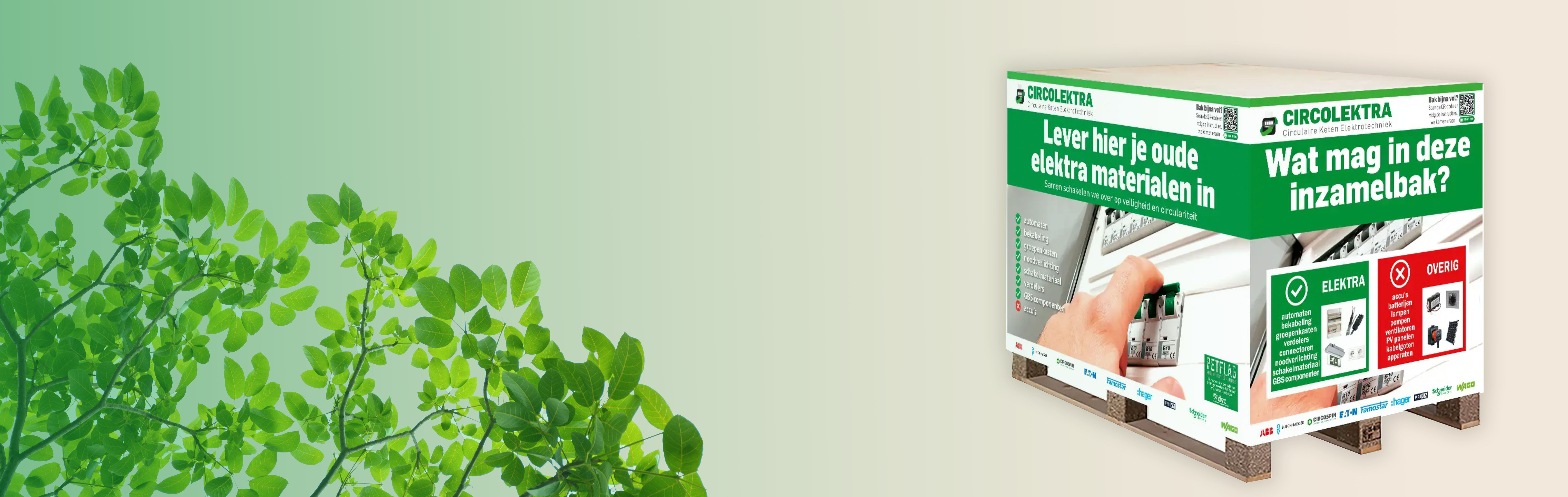 Inzamelbak van Circolektra voor oude elektrotechnische materialen met groene branding, afbeelding van een hand bij een groepenkast en duidelijke scheiding tussen toegestane elektra en niet-toegestane items, naast groene bladeren op lichte achtergrond.