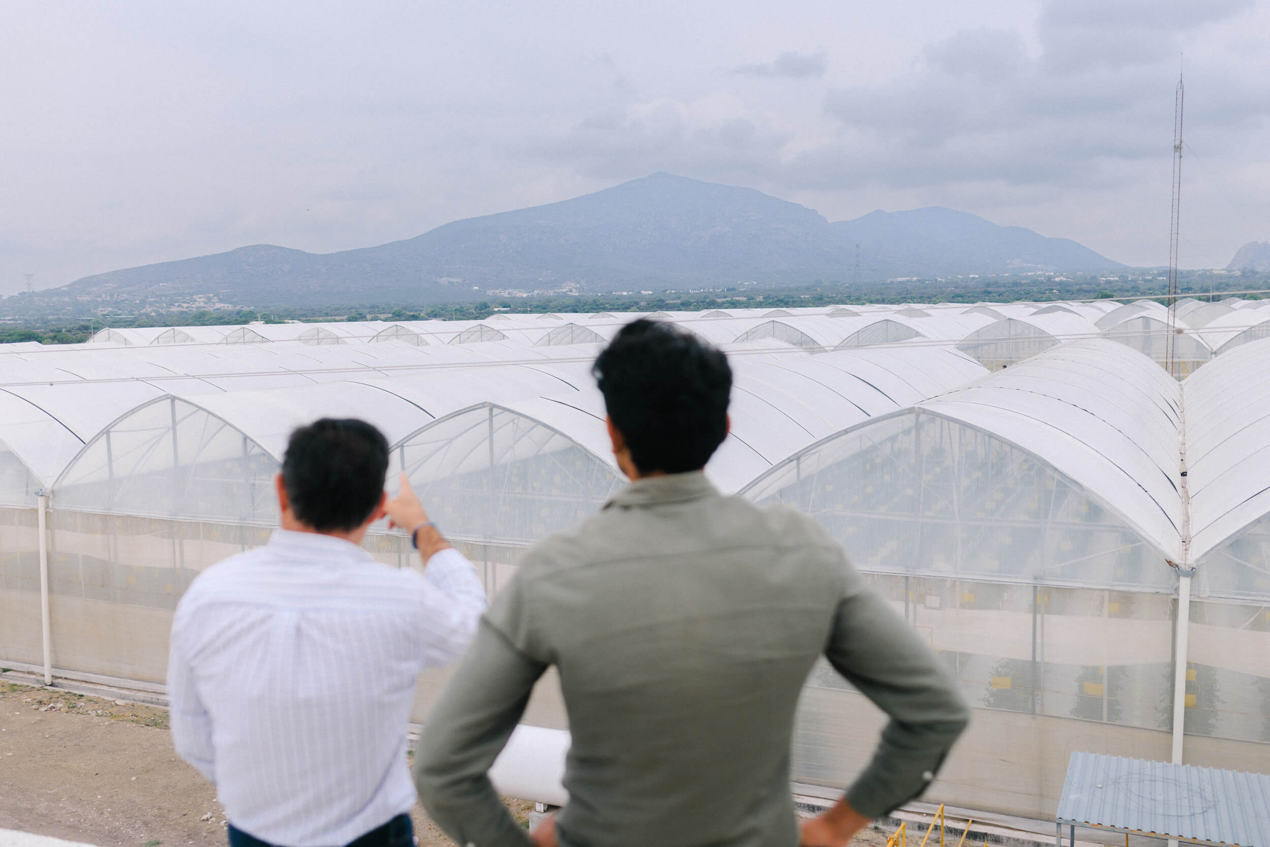 Two people observing arched greenhouses with mountain range in background under cloudy sky.