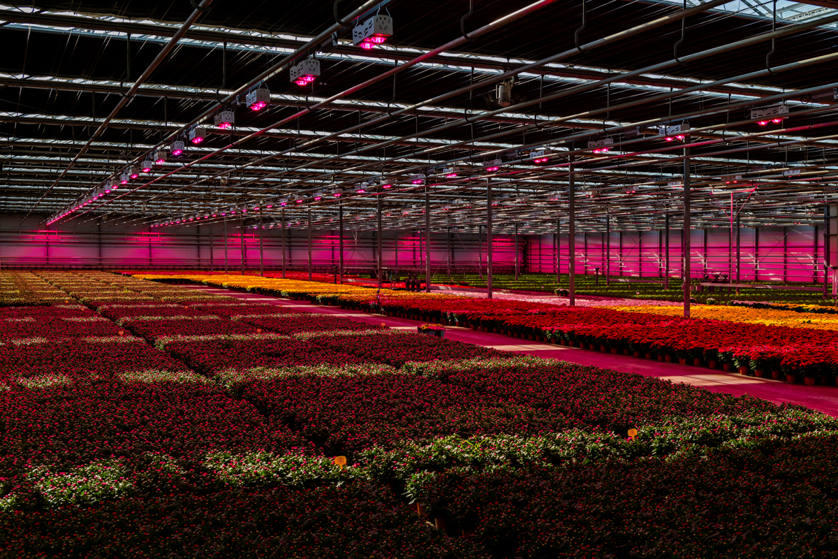 Kl231002 Priva Van Schie RB48632 Bewerkt Lowres