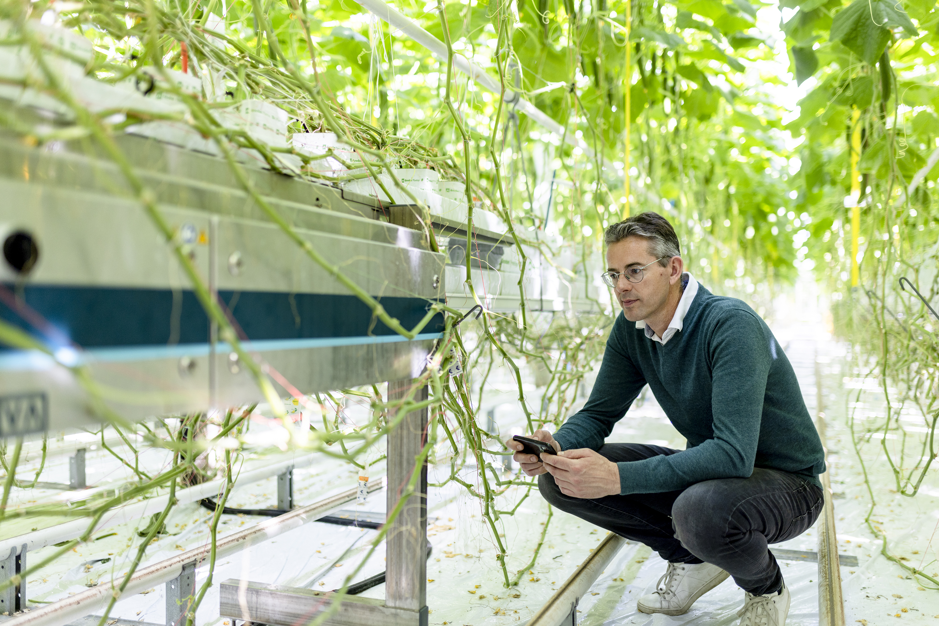 Priva PIM Brazander 3000Px