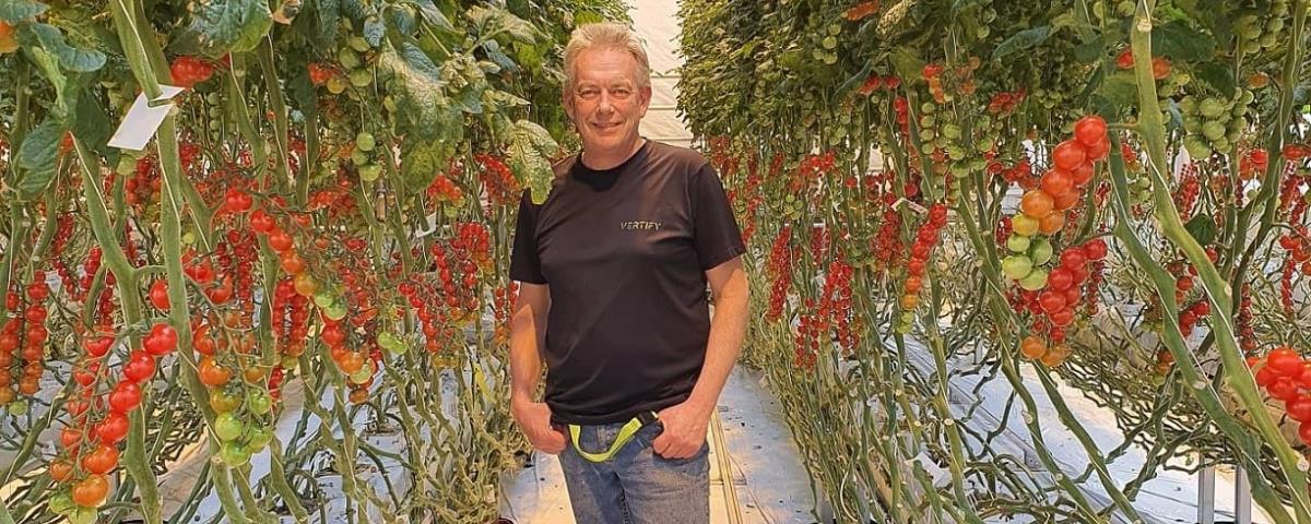 Plantonomy Corvanstaalduinen