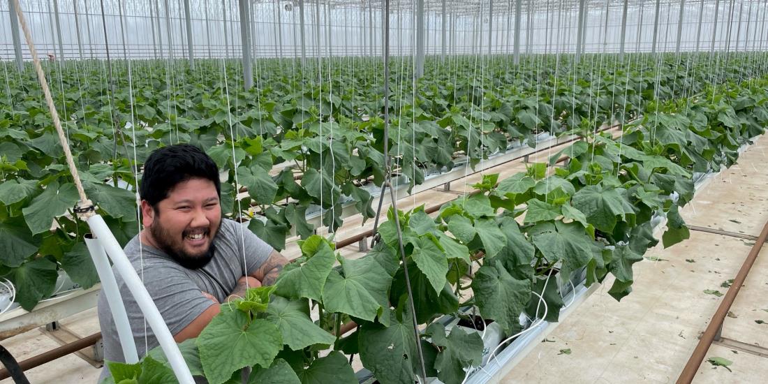 Compact CC For H&L Hydroponics