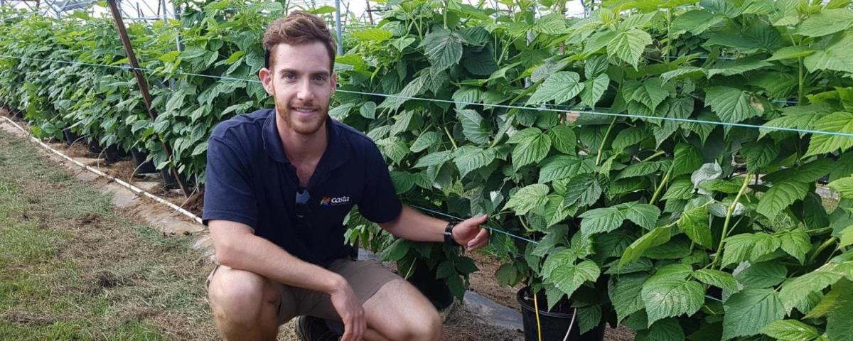 Costa Berry Derek Wright