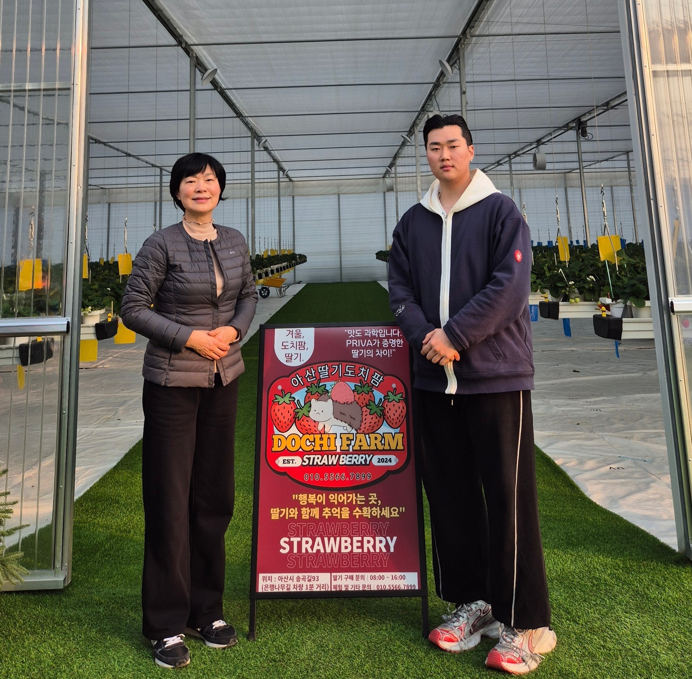 Two people in greenhouse beside Dochi Farm strawberry sign with Korean text and contact info.